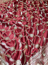 IMG_1548.webp
