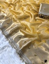 Banarasi tissue X ghunghroo work